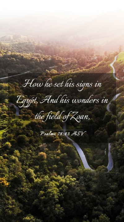 Picture 03 - Psalms 78:43 ASV Mobile Phone Wallpaper - How he set his signs in Egypt, And his wonders in - Mobile Bible Verse Wallpaper