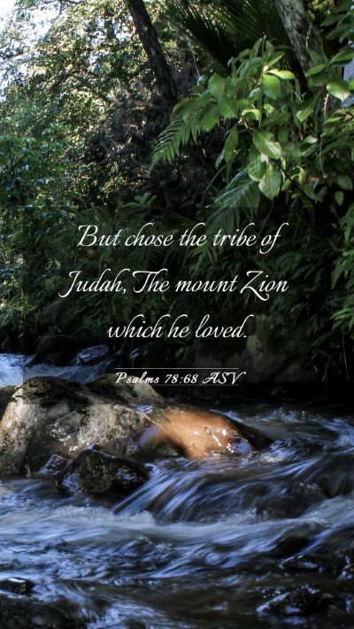 Picture 03 - Psalms 78:68 ASV Mobile Phone Wallpaper - But chose the tribe of Judah, The mount Zion - Mobile Bible Verse Wallpaper