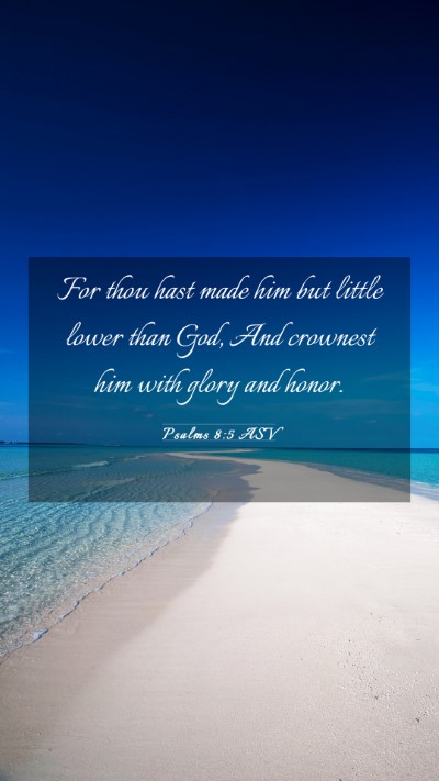 Picture 03 - Psalms 8:5 ASV Mobile Phone Wallpaper - For thou hast made him but little lower than God, - Mobile Bible Verse Wallpaper
