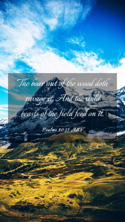 Picture 03 - Psalms 80:13 ASV Mobile Phone Wallpaper - The boar out of the wood doth ravage it, And the - Mobile Bible Verse Wallpaper