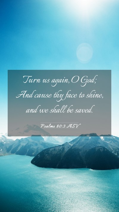 Picture 03 - Psalms 80:3 ASV Mobile Phone Wallpaper - Turn us again, O God; And cause thy face to - Mobile Bible Verse Wallpaper