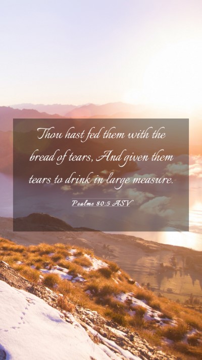 Picture 03 - Psalms 80:5 ASV Mobile Phone Wallpaper - Thou hast fed them with the bread of tears, And - Mobile Bible Verse Wallpaper