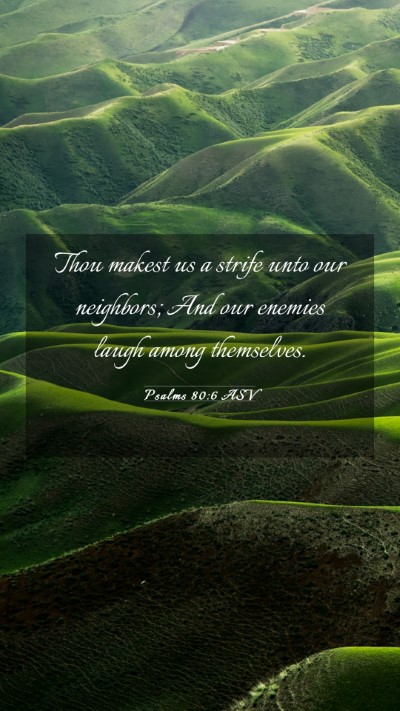 Picture 03 - Psalms 80:6 ASV Mobile Phone Wallpaper - Thou makest us a strife unto our neighbors; And - Mobile Bible Verse Wallpaper