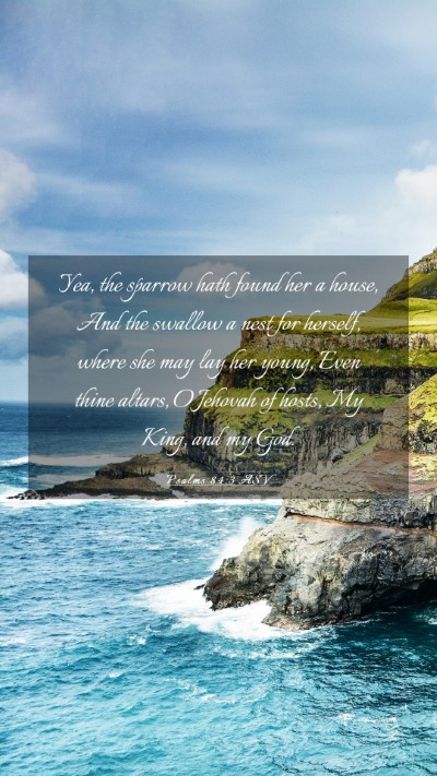 Picture 03 - Psalms 84:3 ASV Mobile Phone Wallpaper - Yea, the sparrow hath found her a house, And the - Mobile Bible Verse Wallpaper