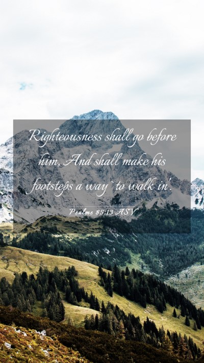 Picture 03 - Psalms 85:13 ASV Mobile Phone Wallpaper - Righteousness shall go before him, And shall make - Mobile Bible Verse Wallpaper