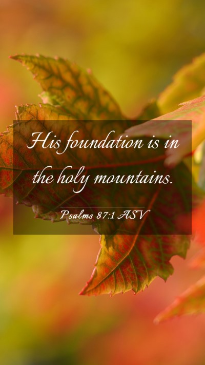 Picture 03 - Psalms 87:1 ASV Mobile Phone Wallpaper - His foundation is in the holy - Mobile Bible Verse Wallpaper