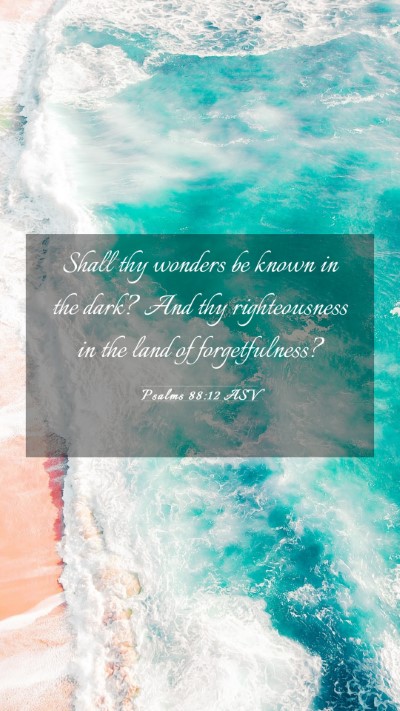 Picture 03 - Psalms 88:12 ASV Mobile Phone Wallpaper - Shall thy wonders be known in the dark? And thy - Mobile Bible Verse Wallpaper