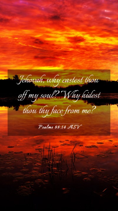 Picture 03 - Psalms 88:14 ASV Mobile Phone Wallpaper - Jehovah, why castest thou off my soul? Why hidest - Mobile Bible Verse Wallpaper