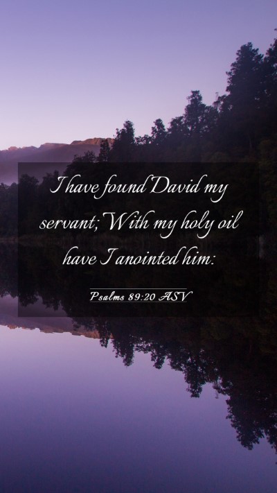 Picture 03 - Psalms 89:20 ASV Mobile Phone Wallpaper - I have found David my servant; With my holy oil - Mobile Bible Verse Wallpaper