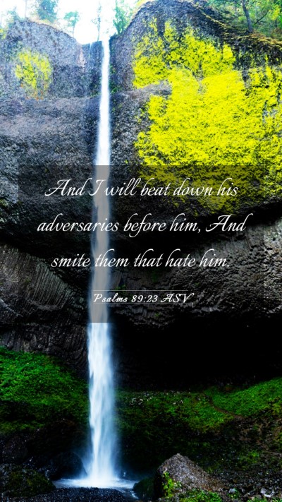 Picture 03 - Psalms 89:23 ASV Mobile Phone Wallpaper - And I will beat down his adversaries before him, - Mobile Bible Verse Wallpaper