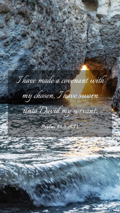 Picture 03 - Psalms 89:3 ASV Mobile Phone Wallpaper - I have made a covenant with my chosen, I have - Mobile Bible Verse Wallpaper