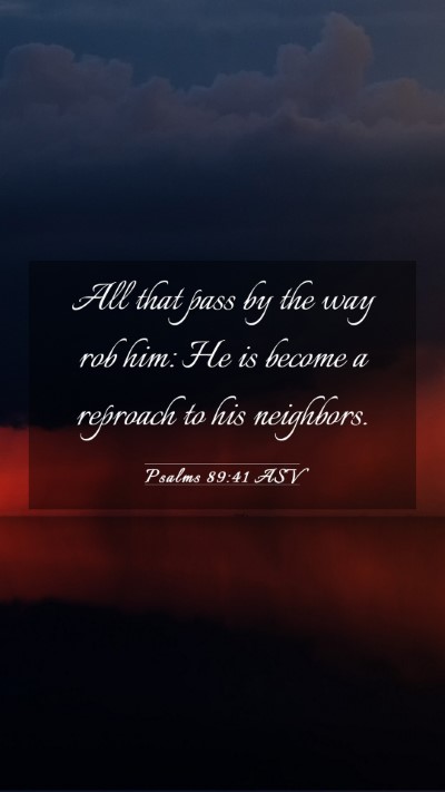 Picture 03 - Psalms 89:41 ASV Mobile Phone Wallpaper - All that pass by the way rob him: He is become a - Mobile Bible Verse Wallpaper