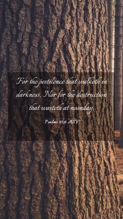 Picture 03 - Psalms 91:6 ASV Mobile Phone Wallpaper - For the pestilence that walketh in darkness, Nor - Mobile Bible Verse Wallpaper