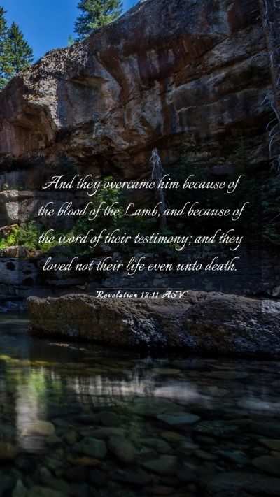 Picture 03 - Revelation 12:11 ASV Mobile Phone Wallpaper - And they overcame him because of the blood of the - Mobile Bible Verse Wallpaper