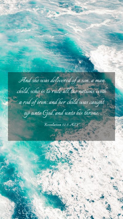Picture 03 - Revelation 12:5 ASV Mobile Phone Wallpaper - And she was delivered of a son, a man child, who - Mobile Bible Verse Wallpaper