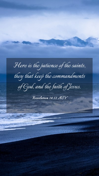 Picture 03 - Revelation 14:12 ASV Mobile Phone Wallpaper - Here is the patience of the saints, they that - Mobile Bible Verse Wallpaper
