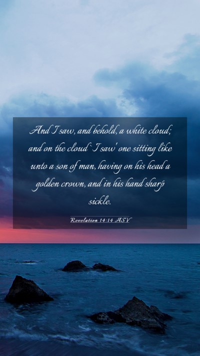 Picture 03 - Revelation 14:14 ASV Mobile Phone Wallpaper - And I saw, and behold, a white cloud; and on the - Mobile Bible Verse Wallpaper