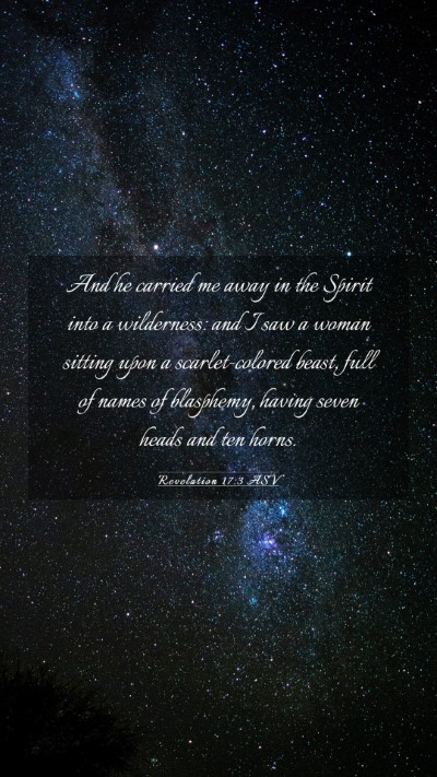 Picture 03 - Revelation 17:3 ASV Mobile Phone Wallpaper - And he carried me away in the Spirit into a - Mobile Bible Verse Wallpaper