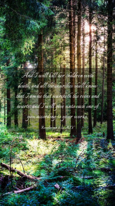 Picture 03 - Revelation 2:23 ASV Mobile Phone Wallpaper - And I will kill her children with death; and all - Mobile Bible Verse Wallpaper