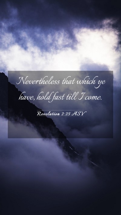 Picture 03 - Revelation 2:25 ASV Mobile Phone Wallpaper - Nevertheless that which ye have, hold fast till I - Mobile Bible Verse Wallpaper