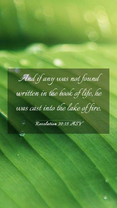 Picture 03 - Revelation 20:15 ASV Mobile Phone Wallpaper - And if any was not found written in the book of - Mobile Bible Verse Wallpaper
