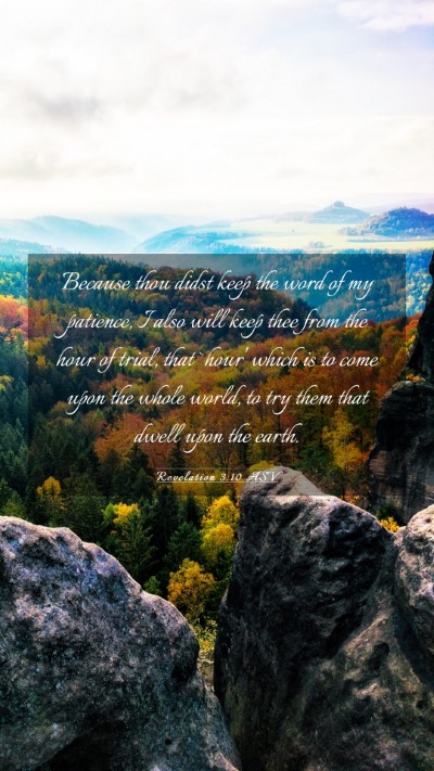Picture 03 - Revelation 3:10 ASV Mobile Phone Wallpaper - Because thou didst keep the word of my patience, - Mobile Bible Verse Wallpaper
