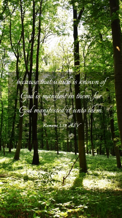 Picture 03 - Romans 1:19 ASV Mobile Phone Wallpaper - because that which is known of God is manifest in - Mobile Bible Verse Wallpaper