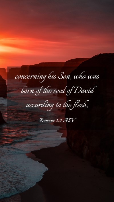 Picture 03 - Romans 1:3 ASV Mobile Phone Wallpaper - concerning his Son, who was born of the seed of - Mobile Bible Verse Wallpaper
