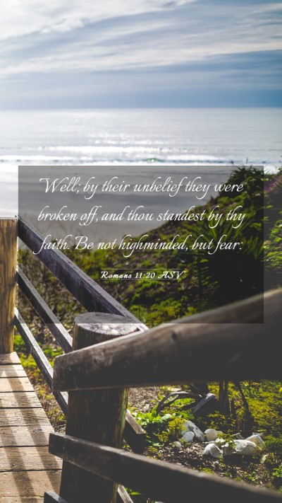 Picture 03 - Romans 11:20 ASV Mobile Phone Wallpaper - Well; by their unbelief they were broken off, and - Mobile Bible Verse Wallpaper