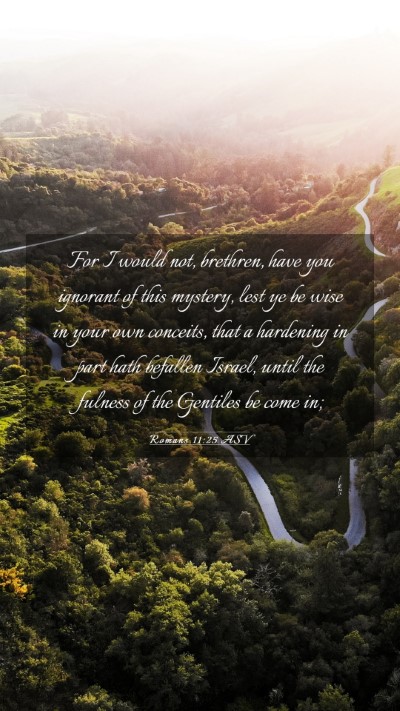 Picture 03 - Romans 11:25 ASV Mobile Phone Wallpaper - For I would not, brethren, have you ignorant of - Mobile Bible Verse Wallpaper