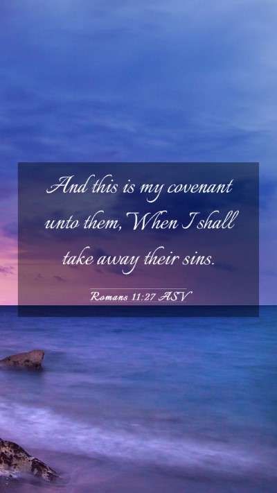Picture 03 - Romans 11:27 ASV Mobile Phone Wallpaper - And this is my covenant unto them, When I shall - Mobile Bible Verse Wallpaper