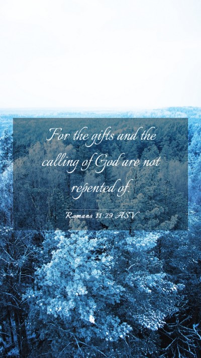 Picture 03 - Romans 11:29 ASV Mobile Phone Wallpaper - For the gifts and the calling of God are not - Mobile Bible Verse Wallpaper