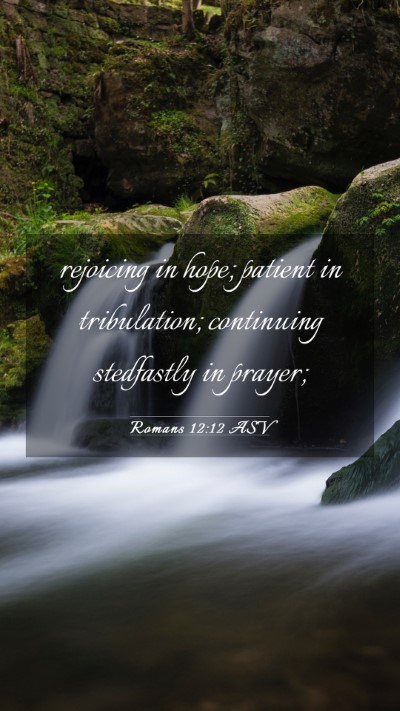 Picture 03 - Romans 12:12 ASV Mobile Phone Wallpaper - rejoicing in hope; patient in tribulation; - Mobile Bible Verse Wallpaper