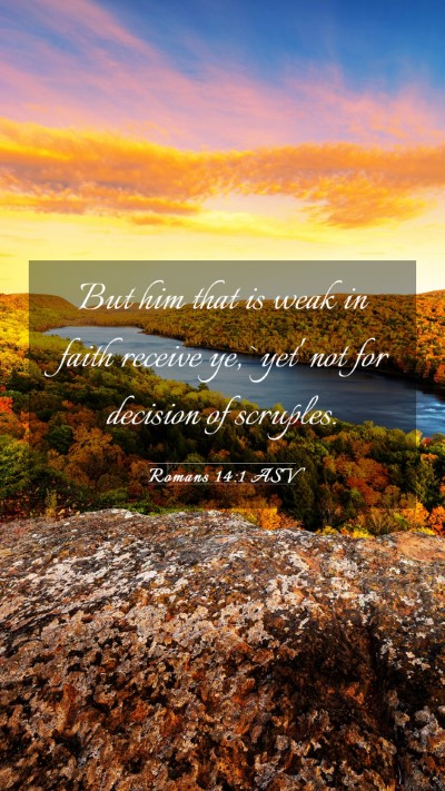 Picture 03 - Romans 14:1 ASV Mobile Phone Wallpaper - But him that is weak in faith receive ye, `yet' - Mobile Bible Verse Wallpaper