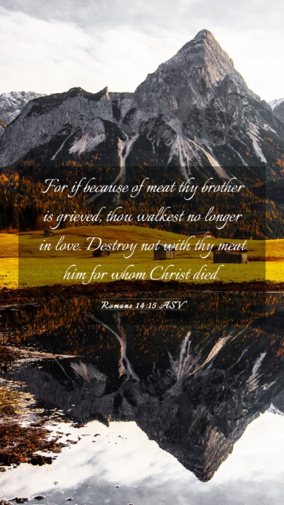 Picture 03 - Romans 14:15 ASV Mobile Phone Wallpaper - For if because of meat thy brother is grieved, - Mobile Bible Verse Wallpaper