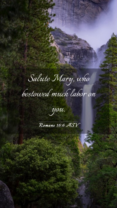 Picture 03 - Romans 16:6 ASV Mobile Phone Wallpaper - Salute Mary, who bestowed much labor on - Mobile Bible Verse Wallpaper