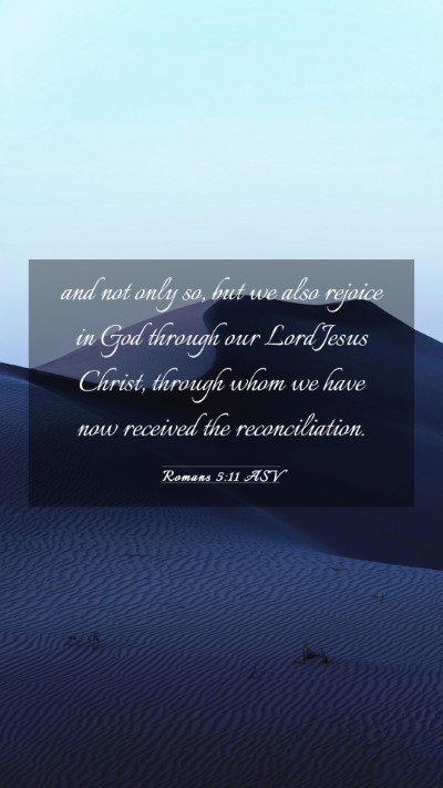 Picture 03 - Romans 5:11 ASV Mobile Phone Wallpaper - and not only so, but we also rejoice in God - Mobile Bible Verse Wallpaper