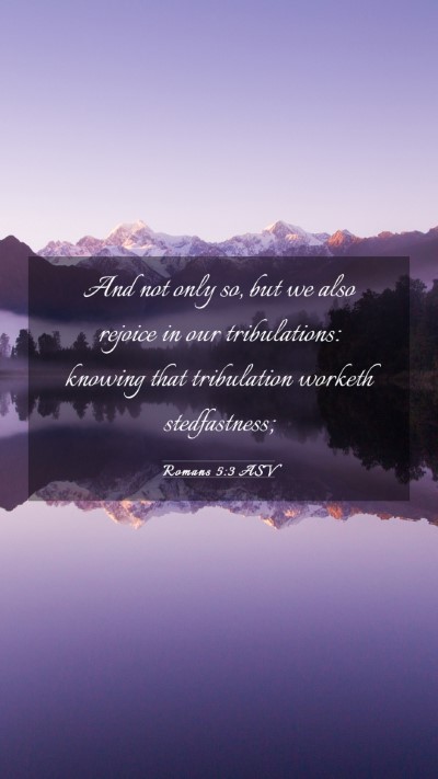 Picture 03 - Romans 5:3 ASV Mobile Phone Wallpaper - And not only so, but we also rejoice in our - Mobile Bible Verse Wallpaper