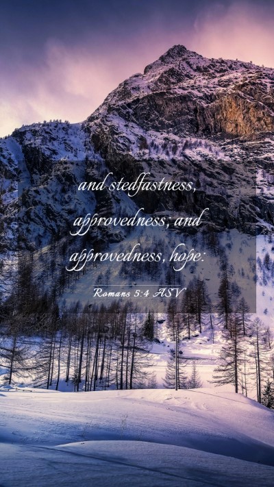 Picture 03 - Romans 5:4 ASV Mobile Phone Wallpaper - and stedfastness, approvedness; and approvedness, - Mobile Bible Verse Wallpaper