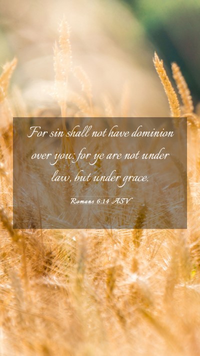 Picture 03 - Romans 6:14 ASV Mobile Phone Wallpaper - For sin shall not have dominion over you: for ye - Mobile Bible Verse Wallpaper
