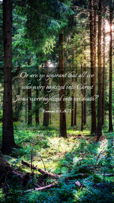 Picture 03 - Romans 6:3 ASV Mobile Phone Wallpaper - Or are ye ignorant that all we who were baptized - Mobile Bible Verse Wallpaper