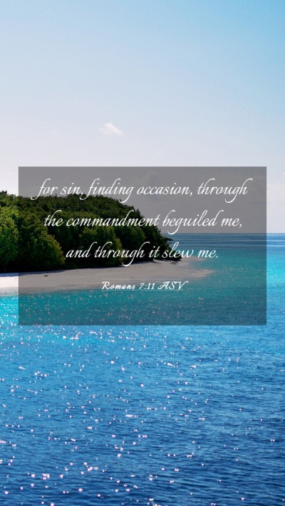Picture 03 - Romans 7:11 ASV Mobile Phone Wallpaper - for sin, finding occasion, through the - Mobile Bible Verse Wallpaper