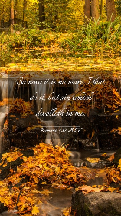 Picture 03 - Romans 7:17 ASV Mobile Phone Wallpaper - So now it is no more I that do it, but sin which - Mobile Bible Verse Wallpaper