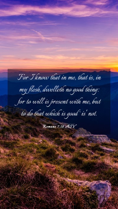 Picture 03 - Romans 7:18 ASV Mobile Phone Wallpaper - For I know that in me, that is, in my flesh, - Mobile Bible Verse Wallpaper