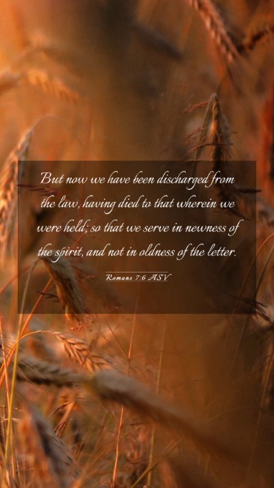 Picture 03 - Romans 7:6 ASV Mobile Phone Wallpaper - But now we have been discharged from the law, - Mobile Bible Verse Wallpaper