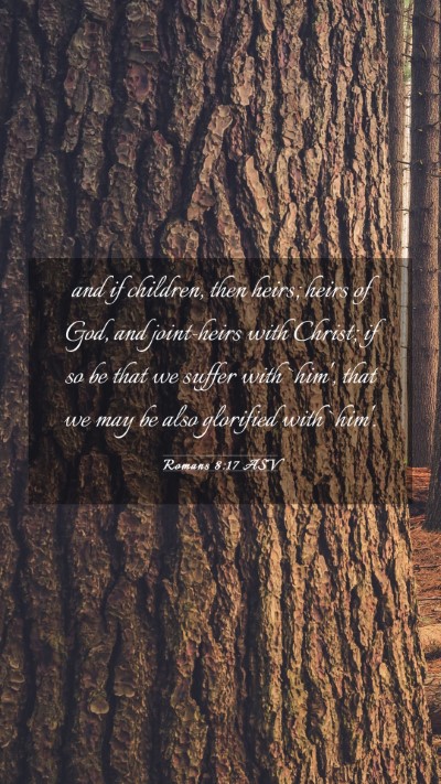 Picture 03 - Romans 8:17 ASV Mobile Phone Wallpaper - and if children, then heirs; heirs of God, and - Mobile Bible Verse Wallpaper