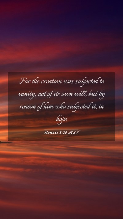 Picture 03 - Romans 8:20 ASV Mobile Phone Wallpaper - For the creation was subjected to vanity, not of - Mobile Bible Verse Wallpaper