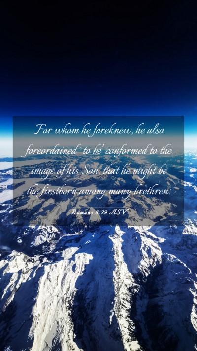 Picture 03 - Romans 8:29 ASV Mobile Phone Wallpaper - For whom he foreknew, he also foreordained `to - Mobile Bible Verse Wallpaper