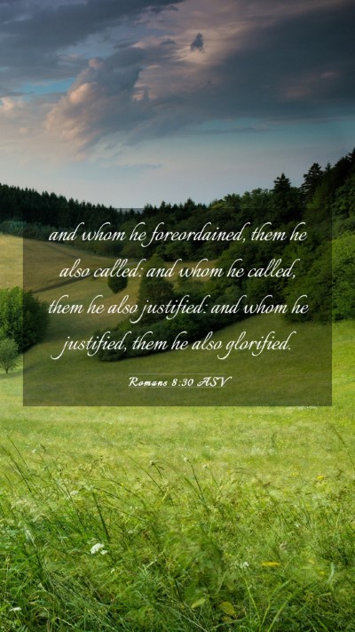 Picture 03 - Romans 8:30 ASV Mobile Phone Wallpaper - and whom he foreordained, them he also called: - Mobile Bible Verse Wallpaper