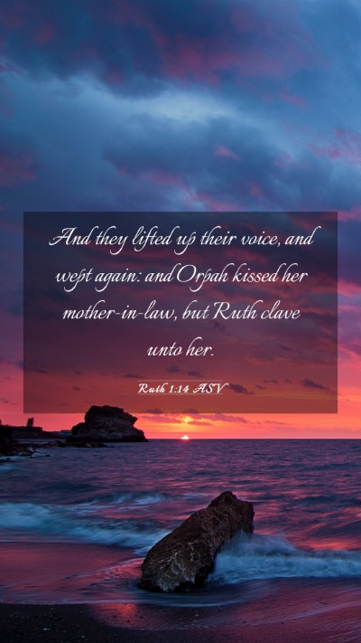 Picture 03 - Ruth 1:14 ASV Mobile Phone Wallpaper - And they lifted up their voice, and wept again: - Mobile Bible Verse Wallpaper